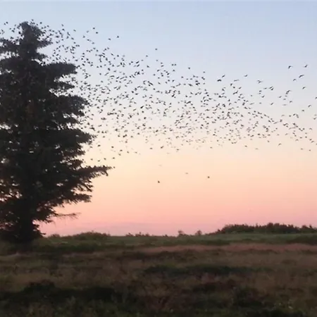 Stig - 1km From The Sea By Interhome *